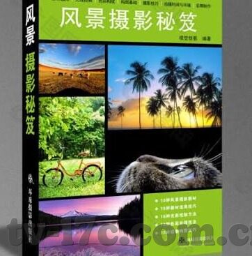 91麻豆品国产91久久久久-91麻豆品，探究国产成人影片的多元文化现象