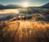 91制片厂传媒麻豆-电影创作与现实艺术，聚焦91制片厂传媒下麻豆的拓展与影响
