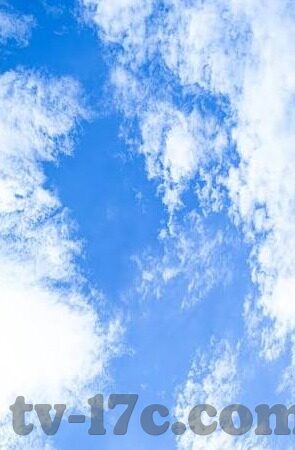 八凄子影院伦理片-八凄子影院，伦理边界的微妙探索
