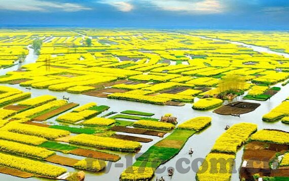 大象传媒app下载破解版-探索大象传媒APP的多元魅力，合法途径与智慧选择