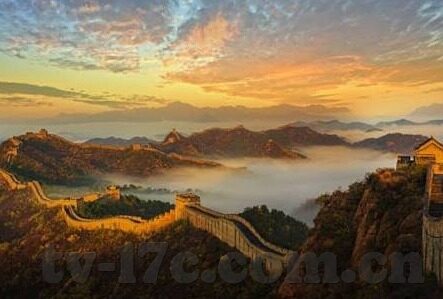 大象传媒视频回家入口-探索大象传媒视频的回家之旅，从入口到心门