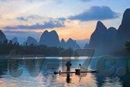 大象传媒下载免费-免费大象传媒下载，数字时代的文化传播新视角
