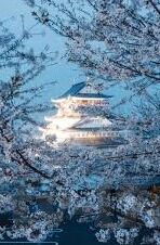 麻d传媒2022国产大象app-麻d传媒2022国产大象app，数字时代的文化与娱乐新探索