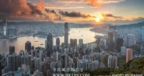 麻豆传媒新网址-网络新风向，麻豆传媒的探访与思考