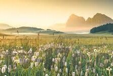 麻豆在线app-麻豆在线app，看准时代节奏的互动新体验