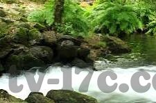 日韩黄色av-日韩影视文化中的成人内容，一种文化现象的探讨