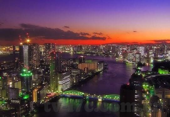 谁有成人手机视频网站-成人手机视频网站，信息时代的隐秘角落