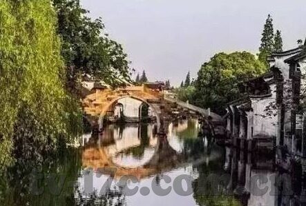 糖心app会员账号-探寻糖心app会员账号真实体验的深度旅程